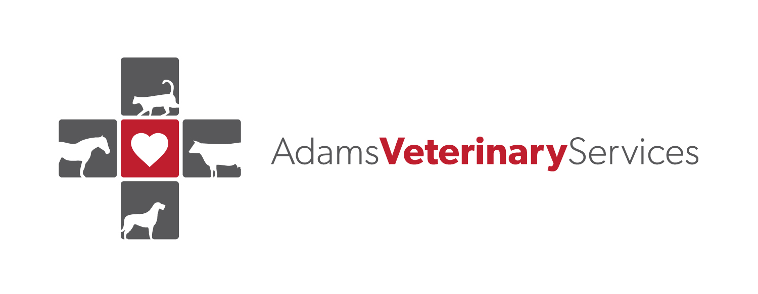 Dr. Haley Adams Mobile Veterinary Services